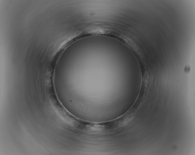 X0000113050359200908271536