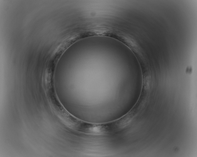 X0000113050365200908271536