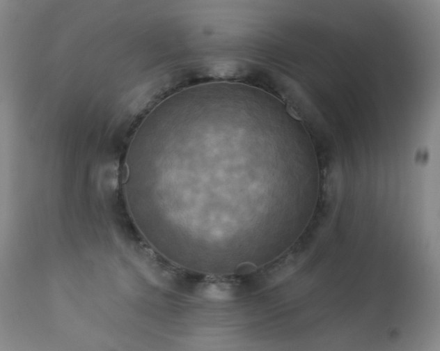 X0000113050368200908271536