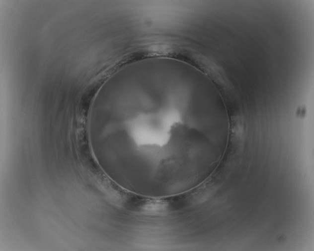 X0000113050369200908271536