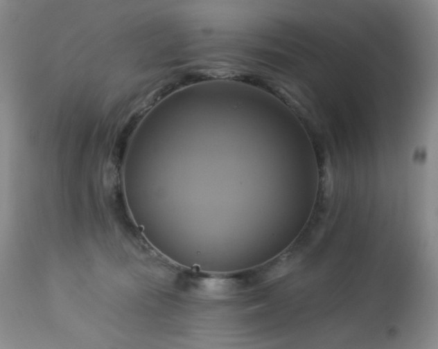 X0000113050371200908271536