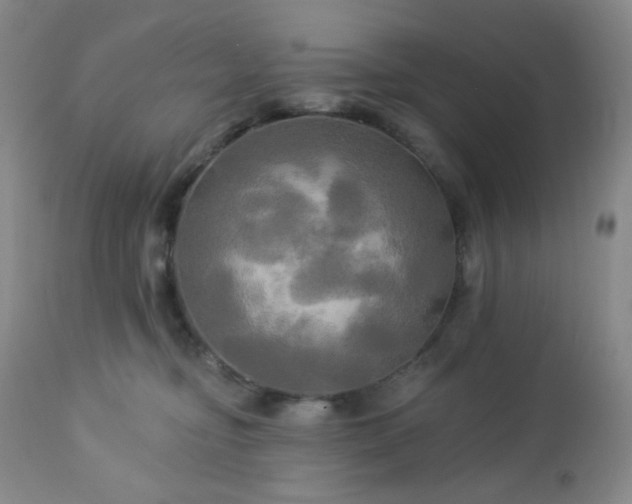 X0000113050374200908271536