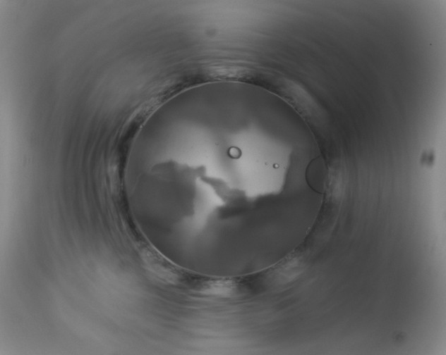 X0000113050377200908271537