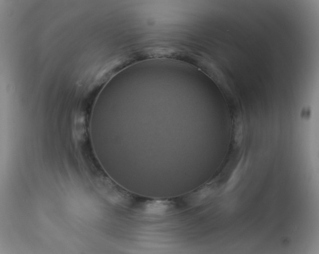 X0000113050378200908271537