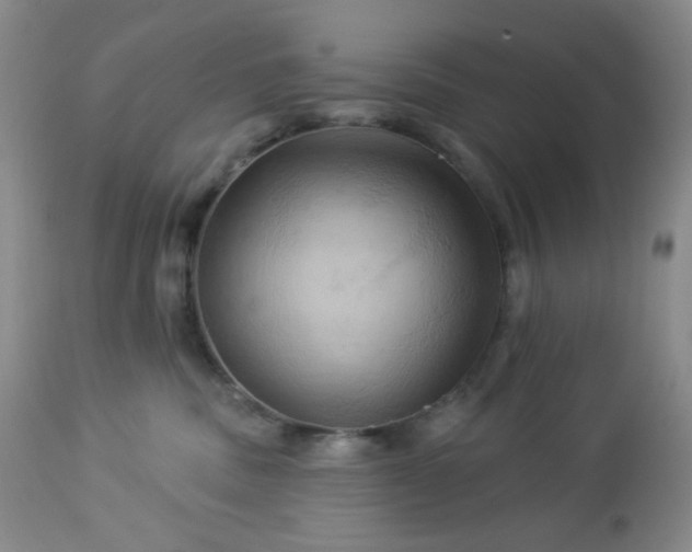 X0000113050379200908271537