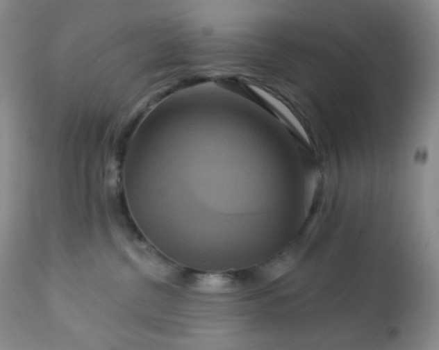 X0000113050380200908271537