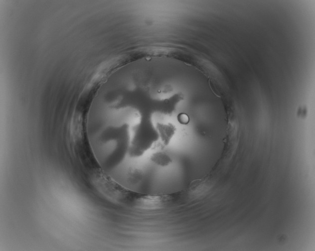 X0000113050381200908271537