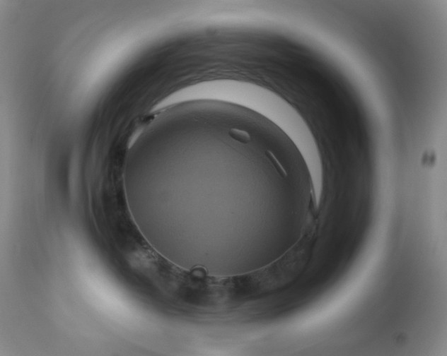 X0000113050382200908271537