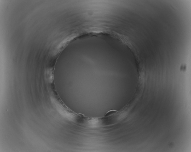 X0000113050383200908271537