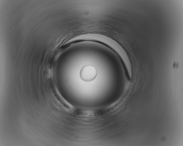 X0000113050384200908271537