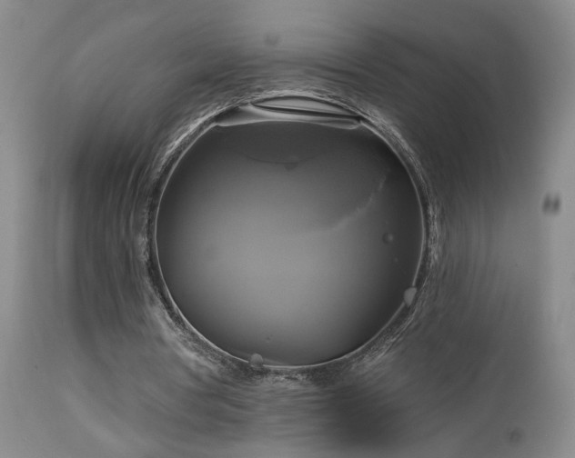 X0000113050386200908271536