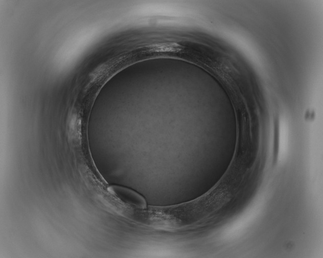 X0000113050387200908271536