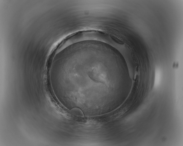 X0000113050388200908271536