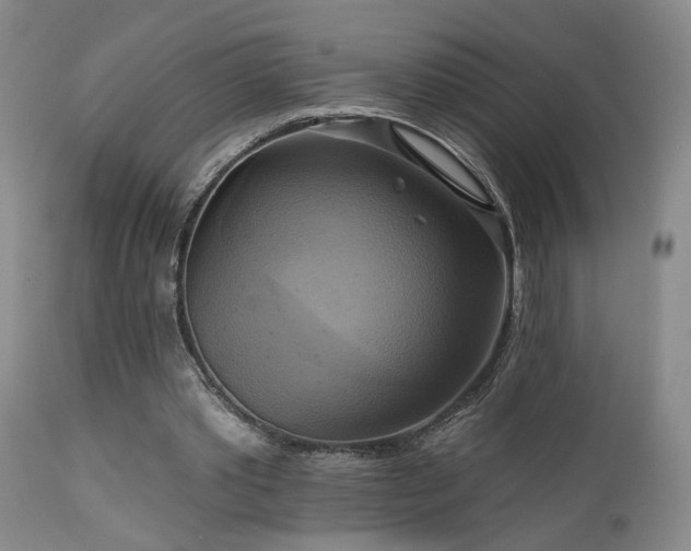 X0000113050389200908271536