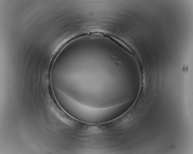 X0000113050390200908271536