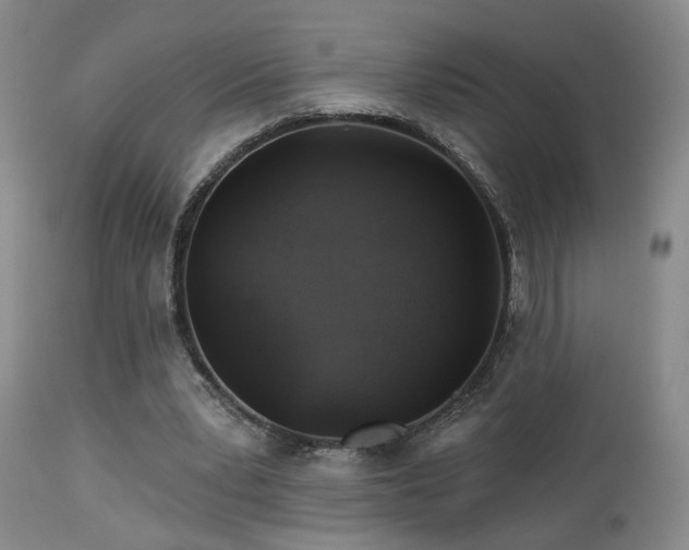 X0000113050391200908271536