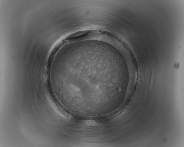 X0000113050392200908271536