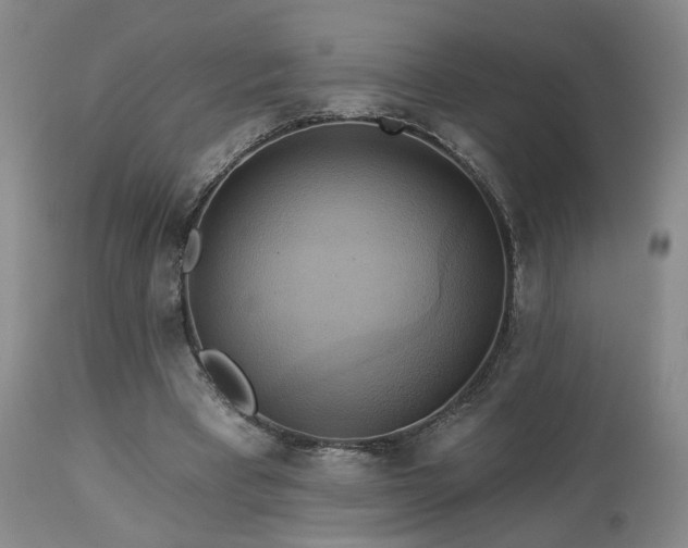 X0000113050393200908271536