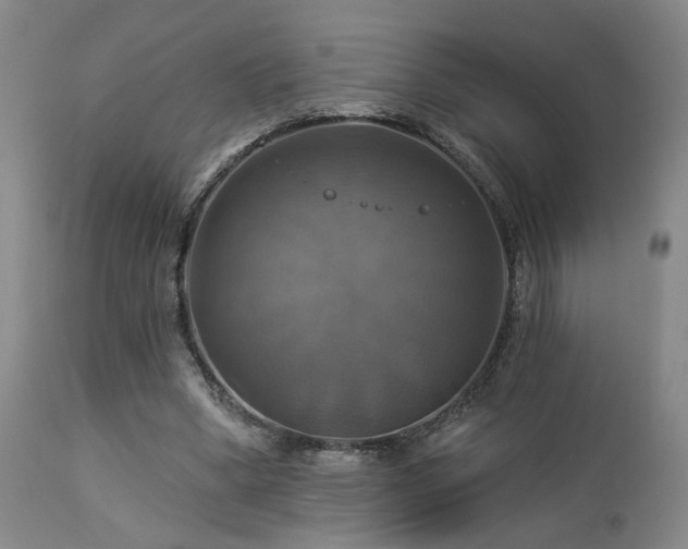 X0000113050394200908271536