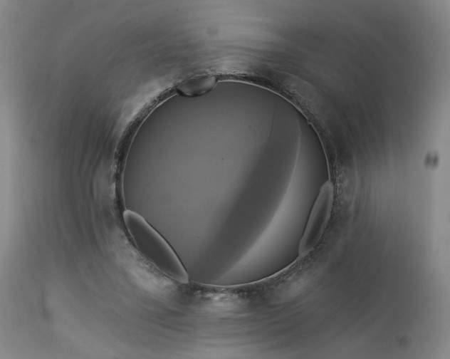 X0000113050395200908271536