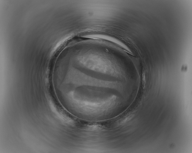 X0000113050396200908271536