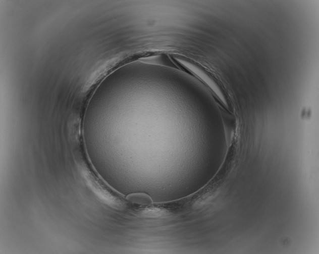 X0000113050397200908271536