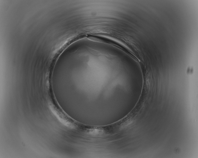 X0000113050398200908271536