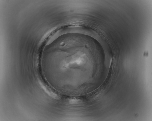 X0000113050400200908271536