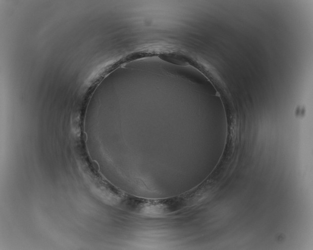 X0000113050403200908271536