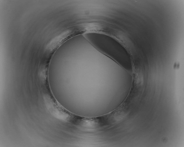 X0000113050405200908271536