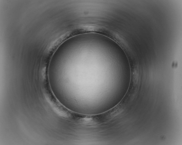 X0000113050406200908271536