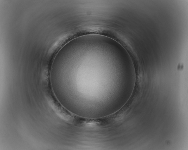 X0000113050407200908271536