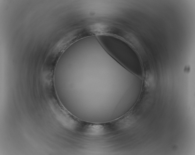 X0000113050409200908271536