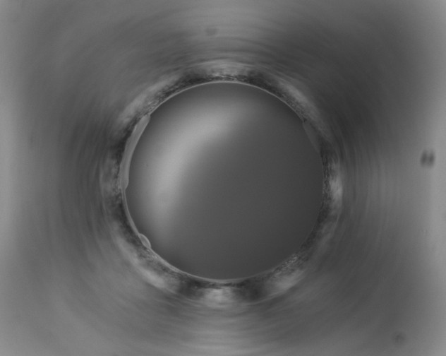 X0000113050411200908271536