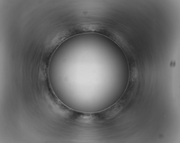 X0000113050414200908271536