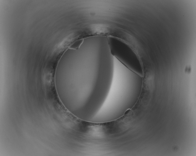 X0000113050417200908271536