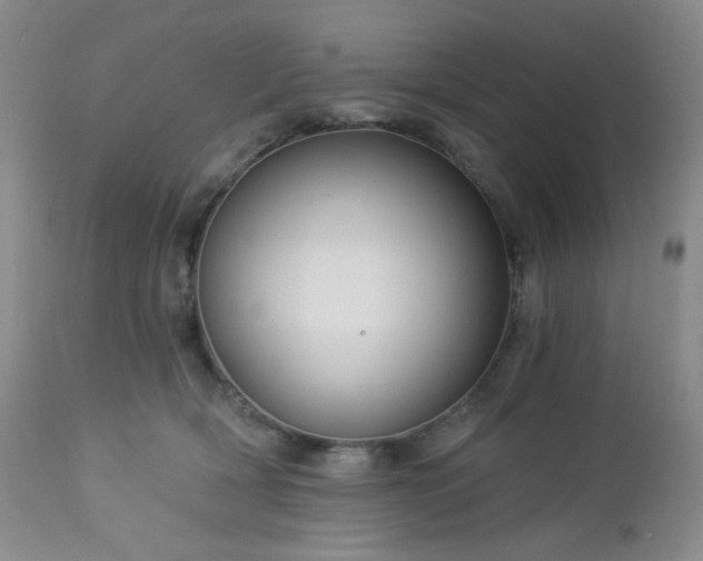 X0000113050418200908271535