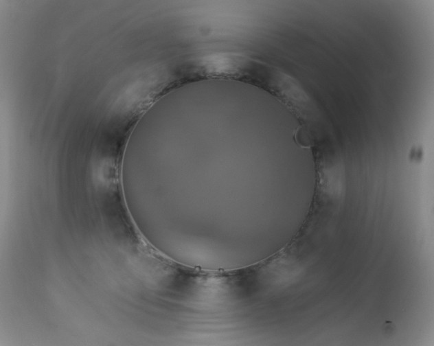 X0000113050419200908271535