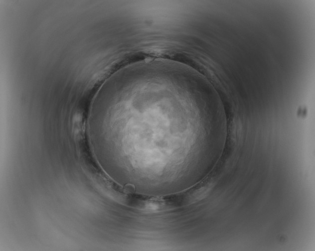 X0000113050420200908271535