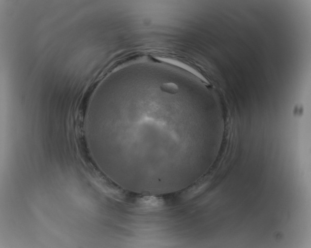 X0000113050421200908271535