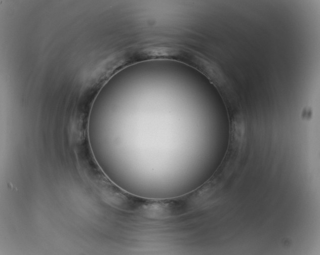 X0000113050422200908271535