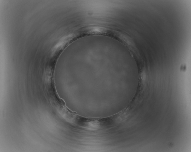 X0000113050423200908271535