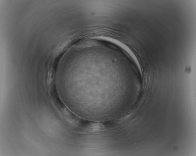 X0000113050424200908271535