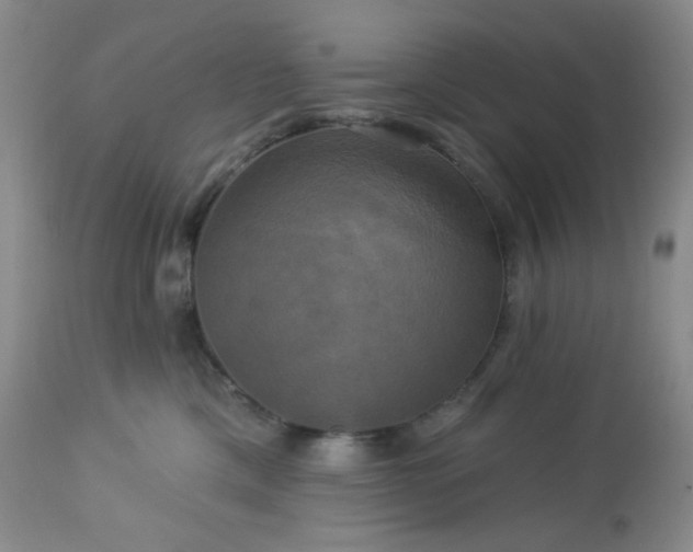 X0000113050425200908271535