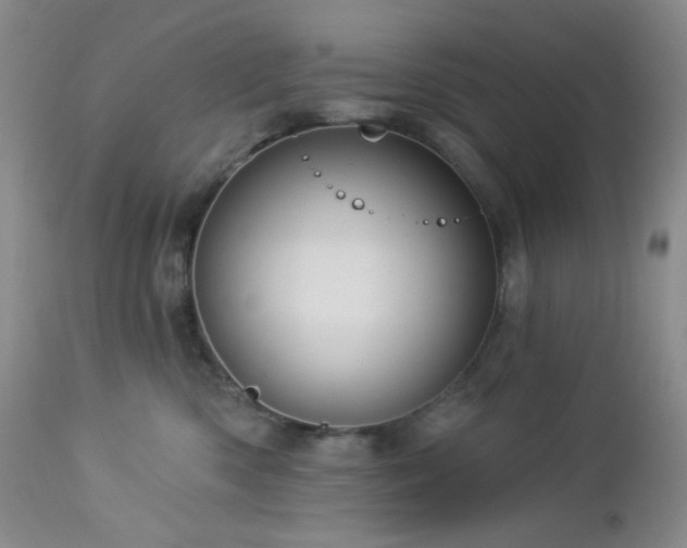 X0000113050426200908271535