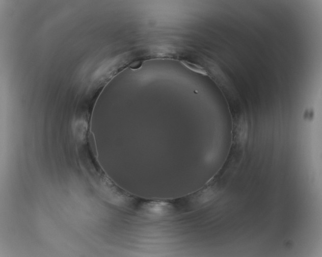 X0000113050427200908271535