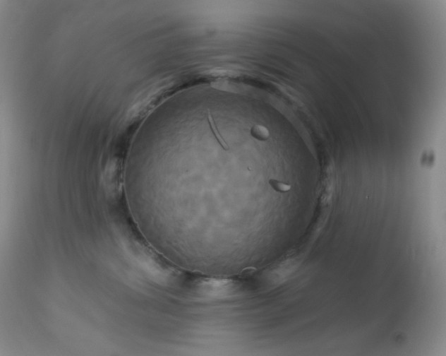 X0000113050428200908271535