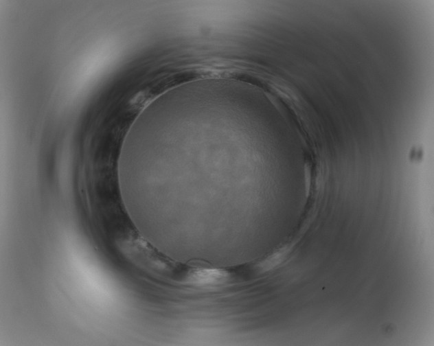 X0000113050429200908271535