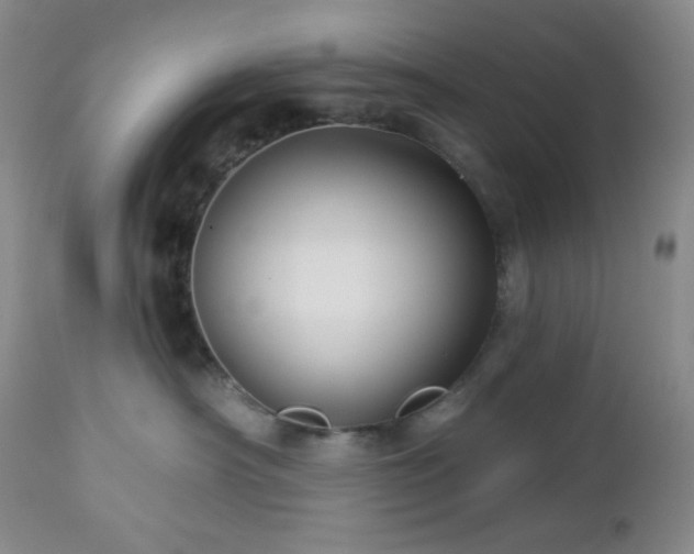 X0000113050430200908271535