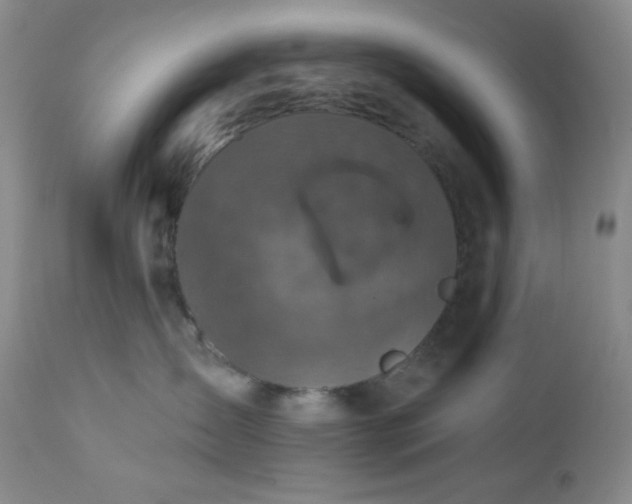 X0000113050431200908271535